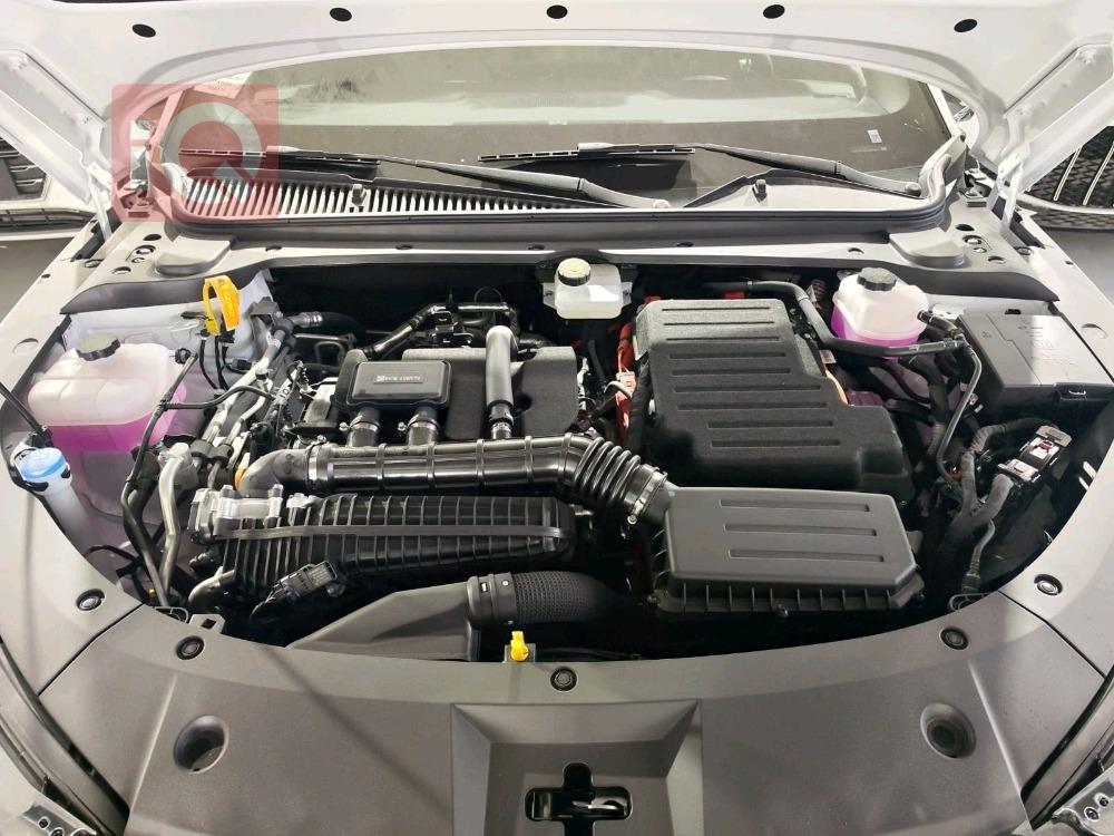 بي واي دي كوين L DM-i